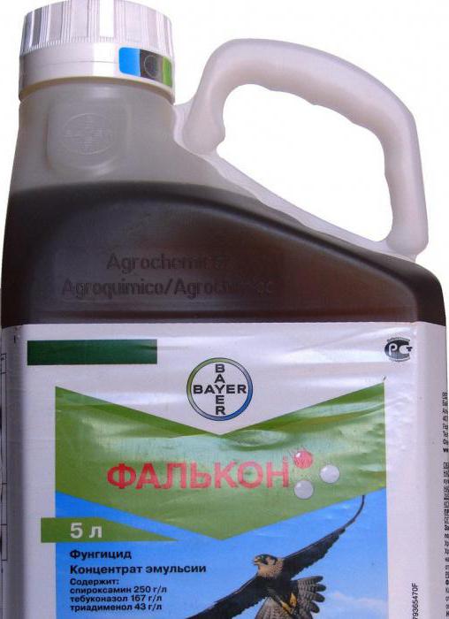 تعليمات Falcon Fungicide للاستخدام