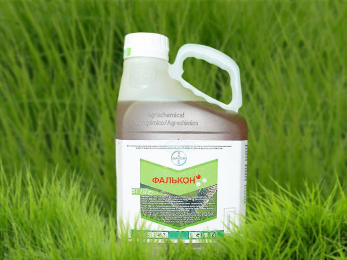 تعليمات falcon fungicide لاستخدامها في الورود