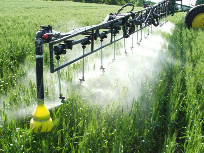 تعليمات Falcon Fungicide للاستخدام للخيار 