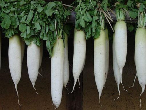 الراديش daikon: متى لتنظيف؟