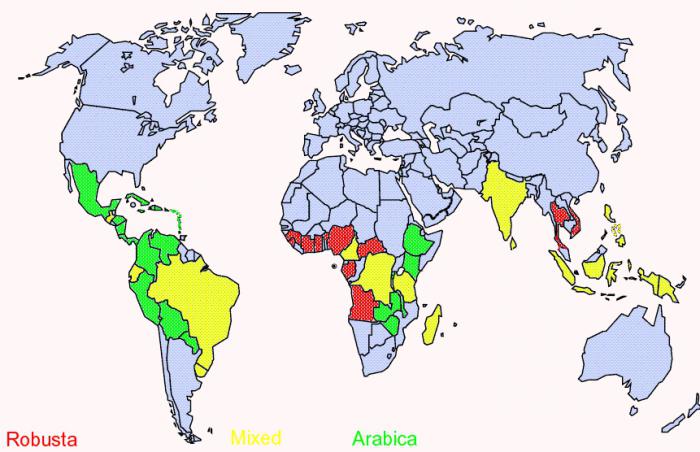 الدول التي يزرع فيها القهوة 