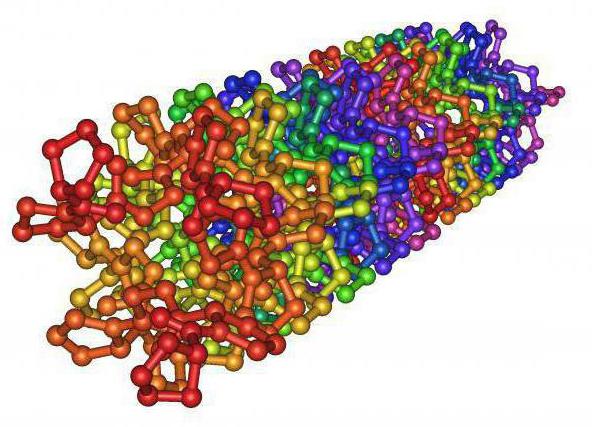 ما هي البروتينات fibrillar