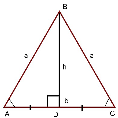 الارتفاع في مثلث متساوي الساقين مرسوم في القاعدة