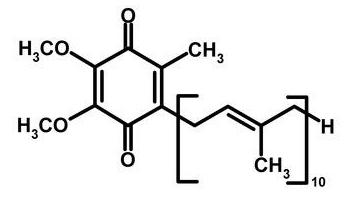 أفضل أنزيم Q10