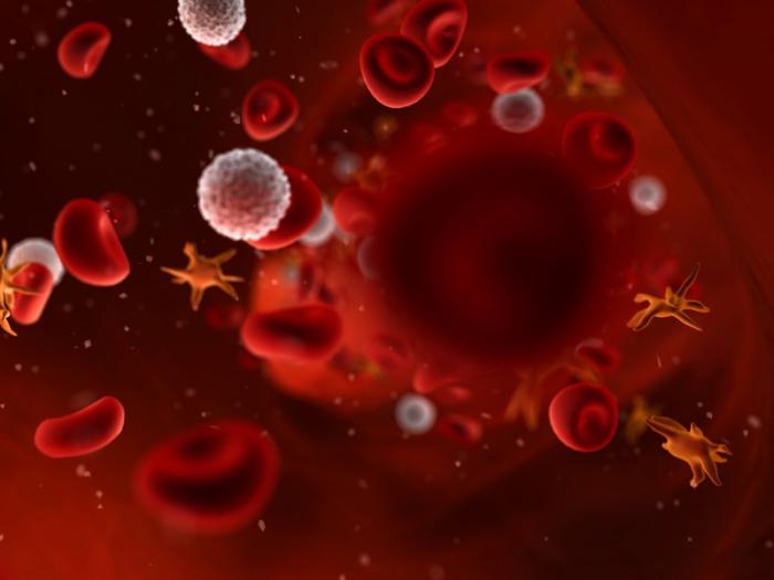 مكونات الدم. Thrombocytes: طبيعي عند النساء